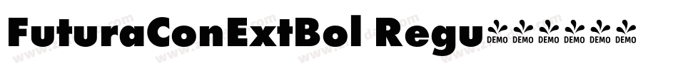 FuturaConExtBol Regu字体转换